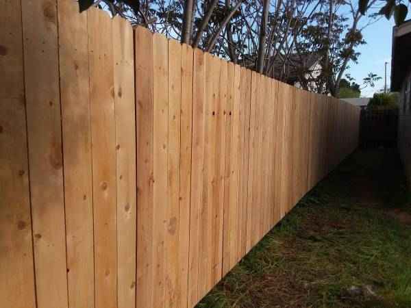 fence